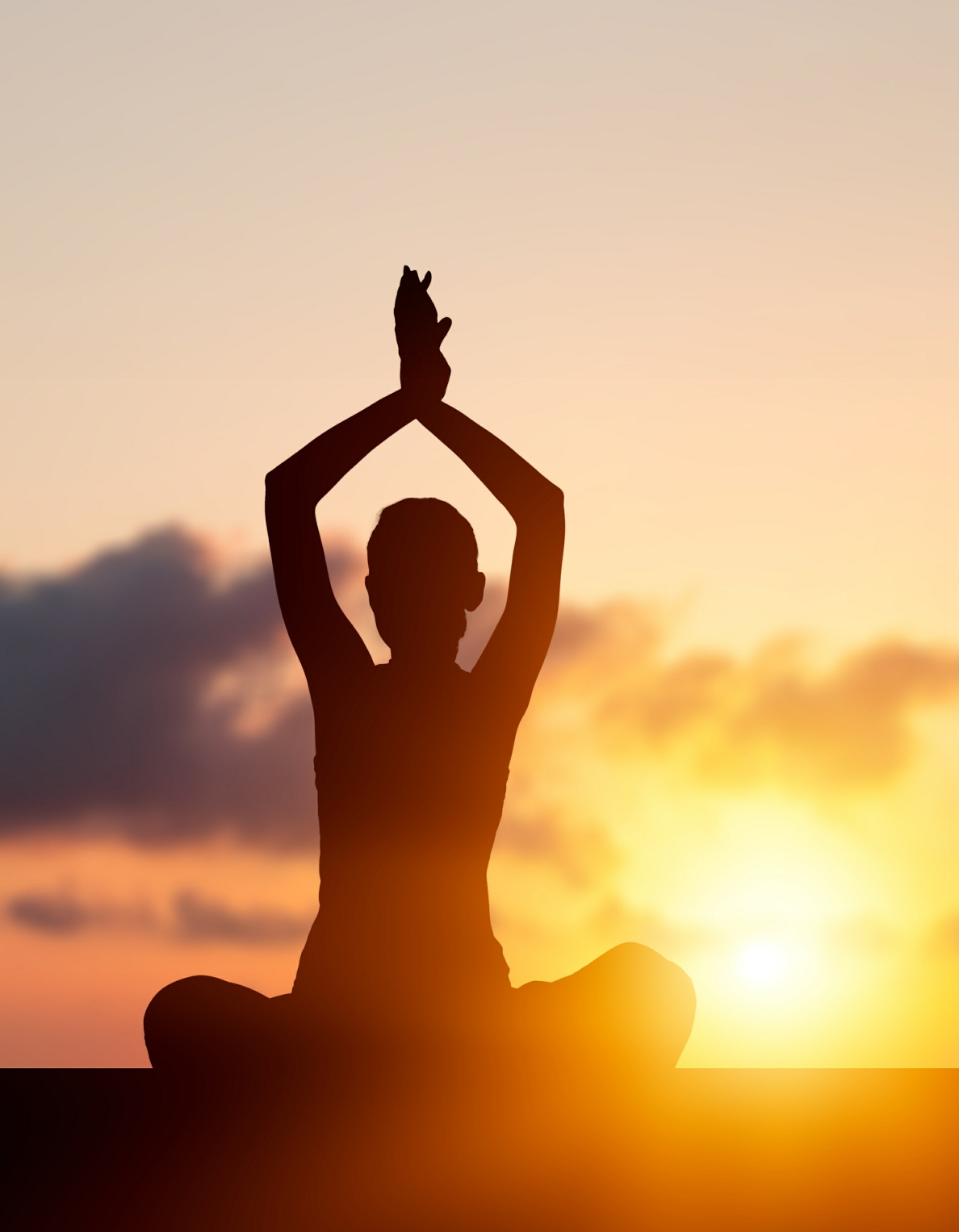 La Recherche de Quiétude